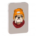 Внешний аккумулятор (Power Bank) Ritmix RPB-10007 Bulldog RPB-10007-BULLDOG (10000 мАч, Бежевый)