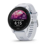 Garmin Forerunner 255 Music 010-02641-31
