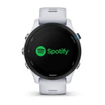Garmin Forerunner 255 Music 010-02641-31