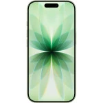 Смартфон Apple iPhone 17 256Gb Sage (eSIM only) MG6C4J/A 256 Гб, 8 Гб