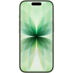Смартфон Apple iPhone 17 256GB Sage MG6N4KH/A 256 Гб, 8 Гб