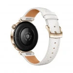 Huawei Watch GT 5 JNA-B19L 41mm 55020DHA (Смарт-часы)