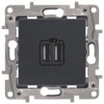 Аксессуар для кабельных сетей Legrand Зарядка USB двойная 240В/5В 2400мА - Etika (антрацит) 672694