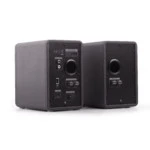 Компьютерные колонки Microlab H-20 (Черный)