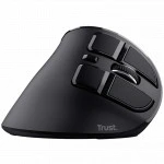 Мышь Trust Voxx 23731 (Имиджевая, Беспроводная)