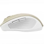 Мышь Asus MW202 90XB066N-BMU020 (Бюджетная, Беспроводная)