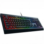 Клавиатура Razer Cynosa V2 RZ03-03400700-R3R1 (Проводная, USB)