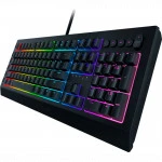 Клавиатура Razer Cynosa V2 RZ03-03400700-R3R1 (Проводная, USB)