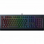 Клавиатура Razer Cynosa V2 RZ03-03400700-R3R1 (Проводная, USB)