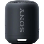 Портативная колонка Sony SRSXB12 1298355 (Черный)