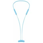 Наушники Beats Flex - Flame Blue, Беспроводные MYMG2ZM/A