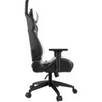 Компьютерный стул Gamdias Игровое кресло ACHILLES E1 Black/White ACHILLES E1 L BW