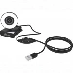 Веб камеры Ritmix RVC-250
