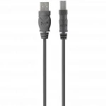 Кабель интерфейсный Belkin USB-A - USB-B (1.8 м) F3U154BT1.8M (USB Type A - USB Type B)