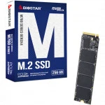 Внутренний жесткий диск BIOSTAR M760 M760-256GB (SSD (твердотельные), 256 ГБ, M.2)