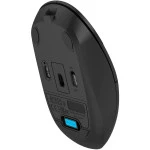 Мышь A4Tech Fstyler FG16CS Air Black FG16CS AIR BLACK Бюджетные, Беспроводная