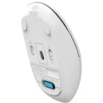Мышь A4Tech Fstyler FG16CS Air WHITE FG16CS AIR WHITE Бюджетные, Беспроводная