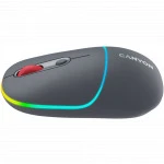 Мышь Canyon MW-22 CNS-CMSW22DG (Имиджевая, Беспроводная)