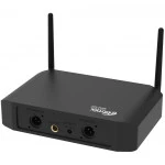 Микрофон Ritmix Беспроводная микрофонная система RWM-222