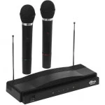 Микрофон Ritmix Микрофонный комплект RWM-210 черный RWM-210 Black