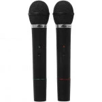 Микрофон Ritmix Микрофонный комплект RWM-210 черный RWM-210 Black