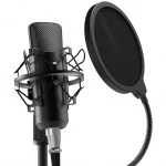 Микрофон Ritmix RDM-175 Black