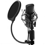 Микрофон Ritmix RDM-175 Black