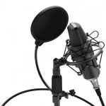 Микрофон Ritmix RDM-175 Black