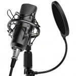 Микрофон Ritmix RDM-175 Black