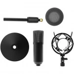 Микрофон Ritmix RDM-175 Black