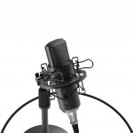 Микрофон Ritmix RDM-175 Black