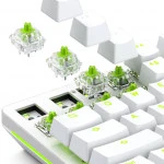 Аксессуар для ПК и Ноутбука GLORIOUS Raptor GLO-SWT-RAPTOR-LUBED (Кейкапы)