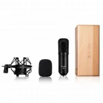 Микрофон ICON M5 110802A2005