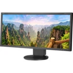 Монитор NEC EA295WMi-BK (29 ", IPS, Ultra-Wide Full HD 2560x1080 (21:9), 60 Гц)