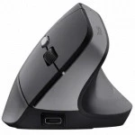 Мышь Trust Bayo II 25145 Премиальные, Беспроводная