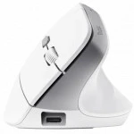 Мышь Trust Bayo II 25398 Премиальные, Беспроводная