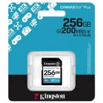 Флеш (Flash) карты Kingston Canvas Go Plus Gen4 C10 SDG4/256GB 256 ГБ