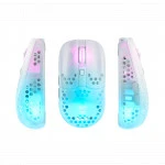 Мышь Xtrfy MZ1 (MZ1-RGB-WHITE-TP) XG-MZ1-RGB-WHITE-TP (Игровые, Проводная)