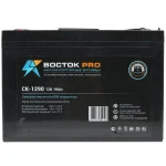 Сменные аккумуляторы АКБ для ИБП ВОСТОК СК 1290 (12 В)