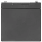 Сменные аккумуляторы АКБ для ИБП Security Force SF 1212 SF 1212. (12 В)