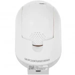 IP видеокамера Ritmix IPC-220-Tuya (PTZ-поворотная, Внутренней установки, WiFi, CMOS, 2 Мп ~ 1920×1080 Full HD)