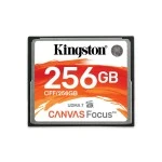 Флеш (Flash) карты Kingston CFF/256GB (256 ГБ)