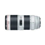Аксессуар для фото и видео Canon EF IS III USM 70-200мм f/2.8L 3044C005