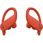 Наушники Beats Powerbeats Pro Totally Wireless Earphones MXYA2EE/A