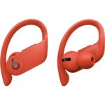 Наушники Beats Powerbeats Pro Totally Wireless Earphones MXYA2EE/A