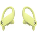 Наушники Beats Powerbeats Pro Totally Wireless Earphones MXY92EE/A