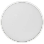 Yeelight Smart LED ceiling light YXDC0220002WTGL