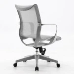 Компьютерный стул Sihoo M77C-102