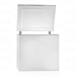 Морозильник Pozis FH-256-1 123CV