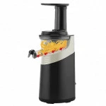 Соковыжималка Scarlett SC-JE50S58 (Шнековая, 120 Вт)